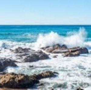 Meet your Posher, Bella